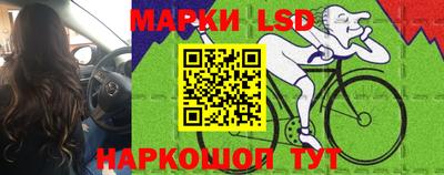PSILOCYBIN Нальчик